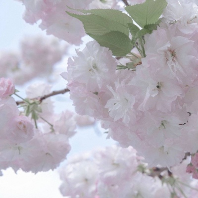 Furry兽设设计技巧Furry群